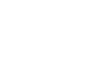 Orbex Solutions white logo